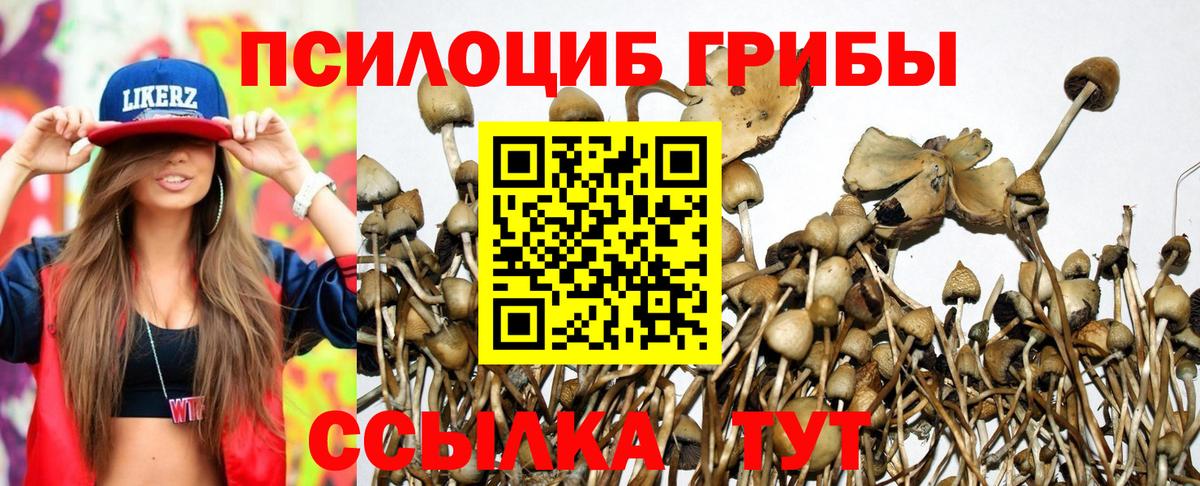 Псилоцибиновые грибы мухоморы Миасс