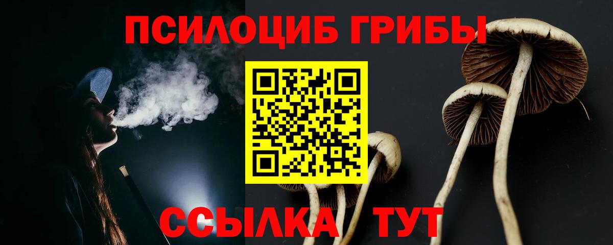Миасс  Псилоцибиновые грибы Cubensis  Галлюциногенные грибы Psilocybe  Вход с VPN 
